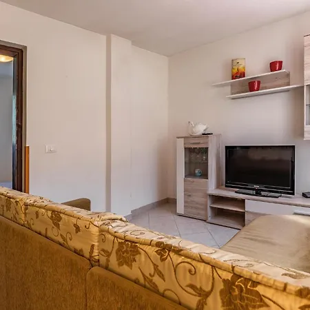 Appartement Pet Friendly In With Kitchen *