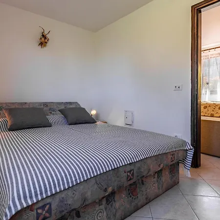 Apartment Pet Friendly In With Kitchen