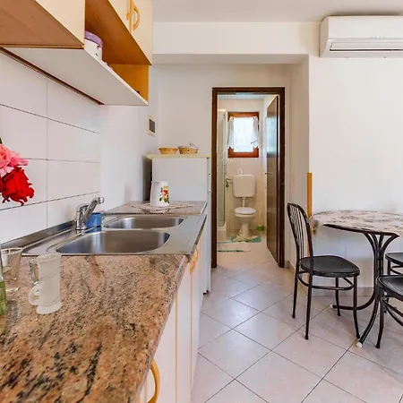 Apartment Pet Friendly In With Kitchen