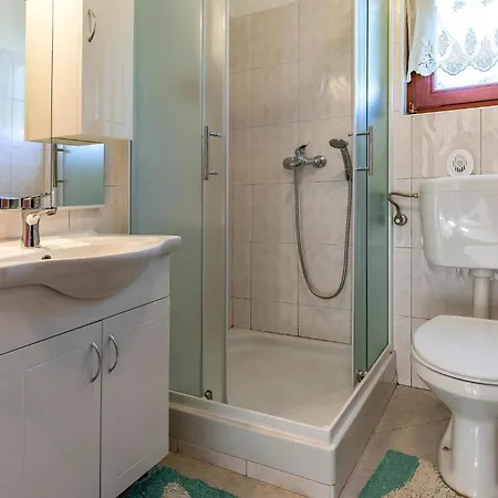 Apartment Pet Friendly In With Kitchen
