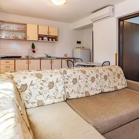 Apartment Pet Friendly In With Kitchen *
